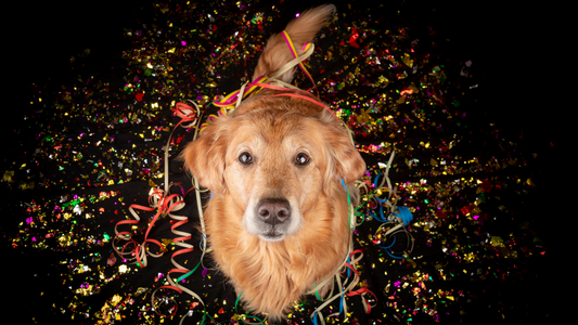 New Years Holiday Schedule