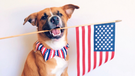 Patriotic Pups