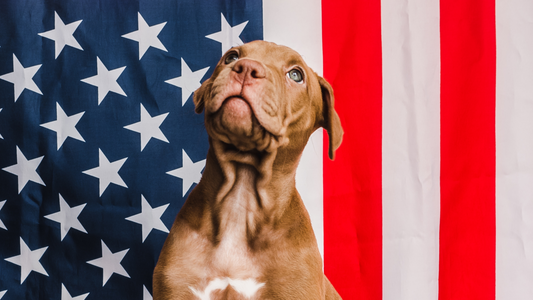 4th of July Holiday Info