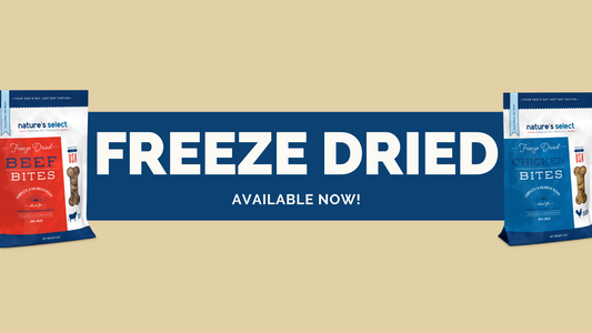 Introducing Freeze Dried