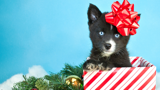 December Holiday Hours
