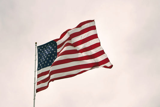 Veterans Day