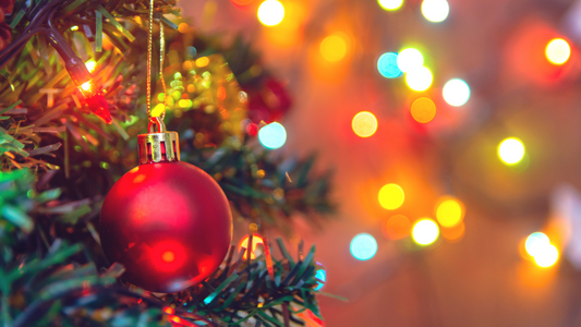 Our December Newsletter