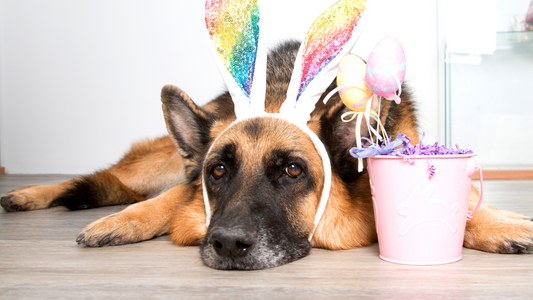 Our April Newsletter