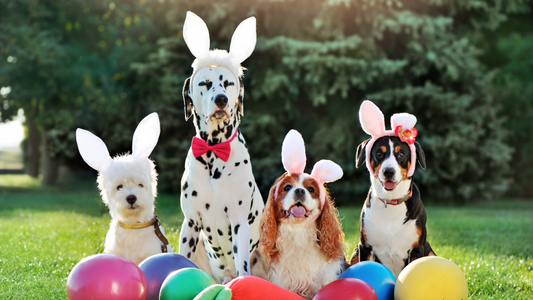 Hoppy Easter