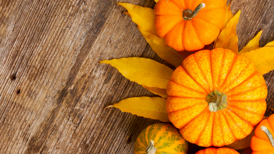 Fall Favorites Now Available