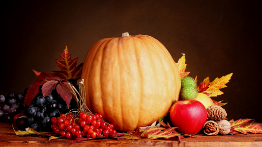Fall Treats To Share With Your Dogs