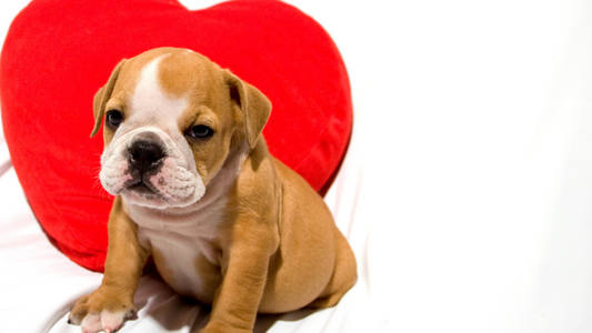 Our February Newsletter