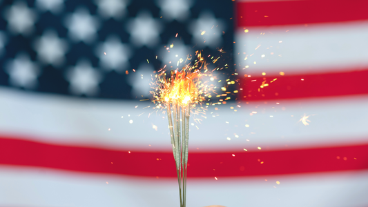 Pets & Fireworks