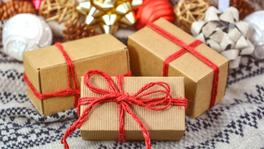 Holiday Shipping Delays