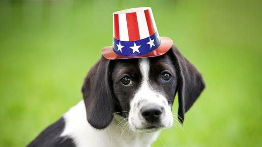 Memorial Day Info