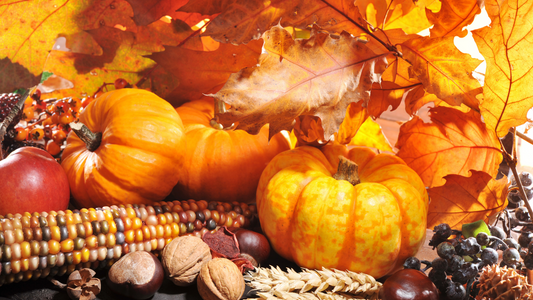 November Newsletter