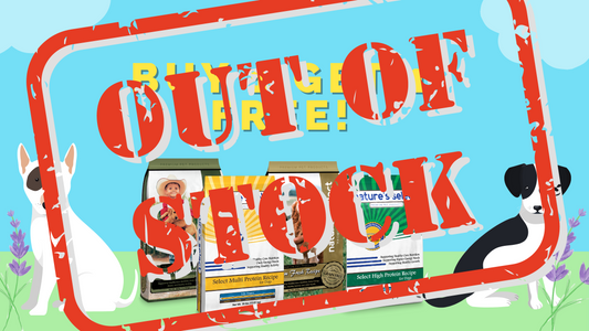 BOGO Sale Update