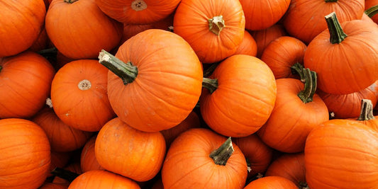 Our Favorite PUMPKIN Recipes for Pups
