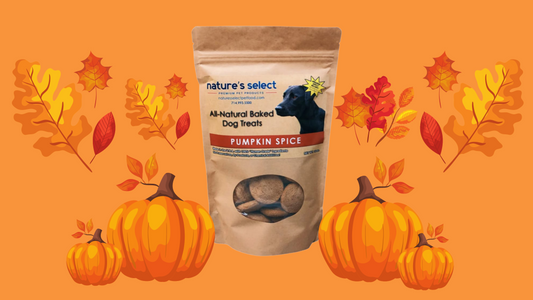Pumpkin Spice Cookies are Back