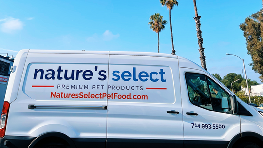 Ways to Reorder Pet Food