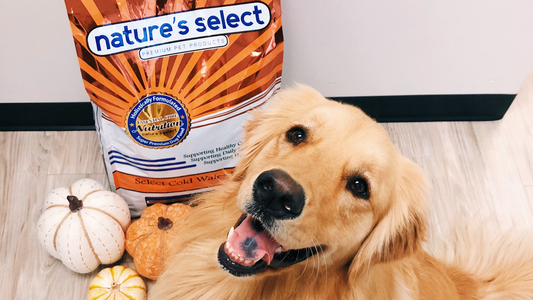 Our Pet Food Winner