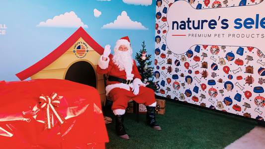 Santa Gives Back