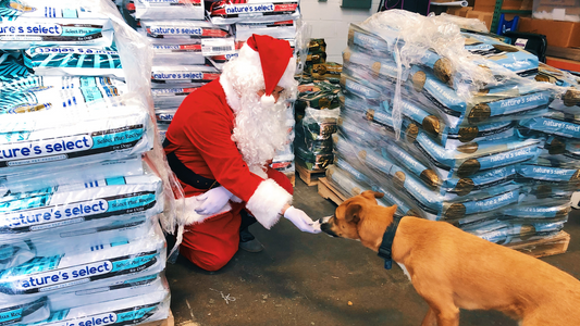 Santa is Coming Soon!