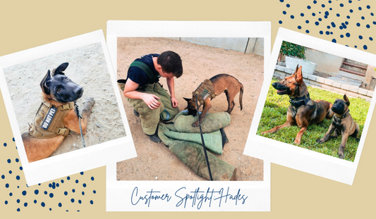 Customer Spotlight: Hades the Pup