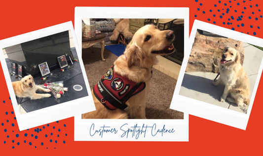 Customer Spotlight: Cadence