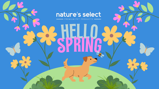 NEW Treats for Spring
