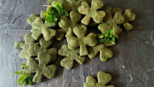 A St. Patrick's Day Treat to Treat Your Pup!