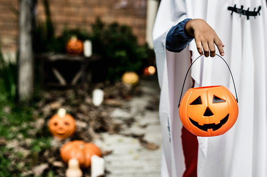 Pet Costume Ideas
