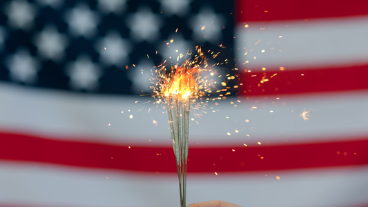 Firework Safety For Pets