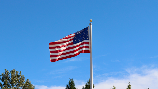 Happy Veterans Day