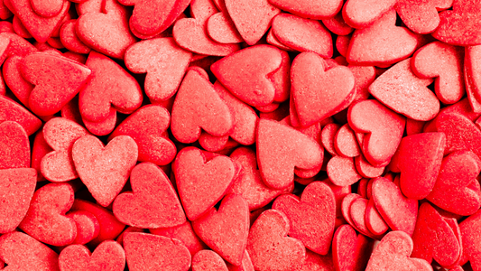 Our February Newsletter