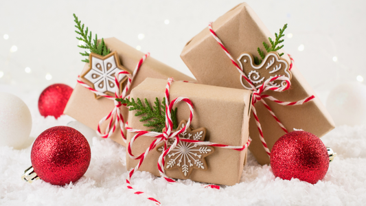 Holiday Gift Guide