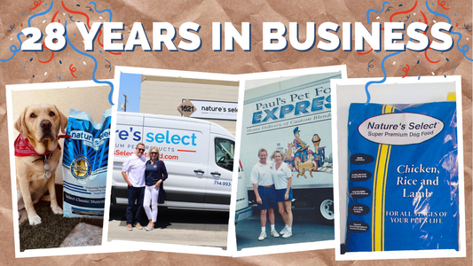 Our 28th Anniversary
