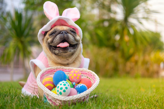 Hoppy Easter Friends!