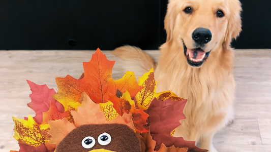 Thanksgiving Closure