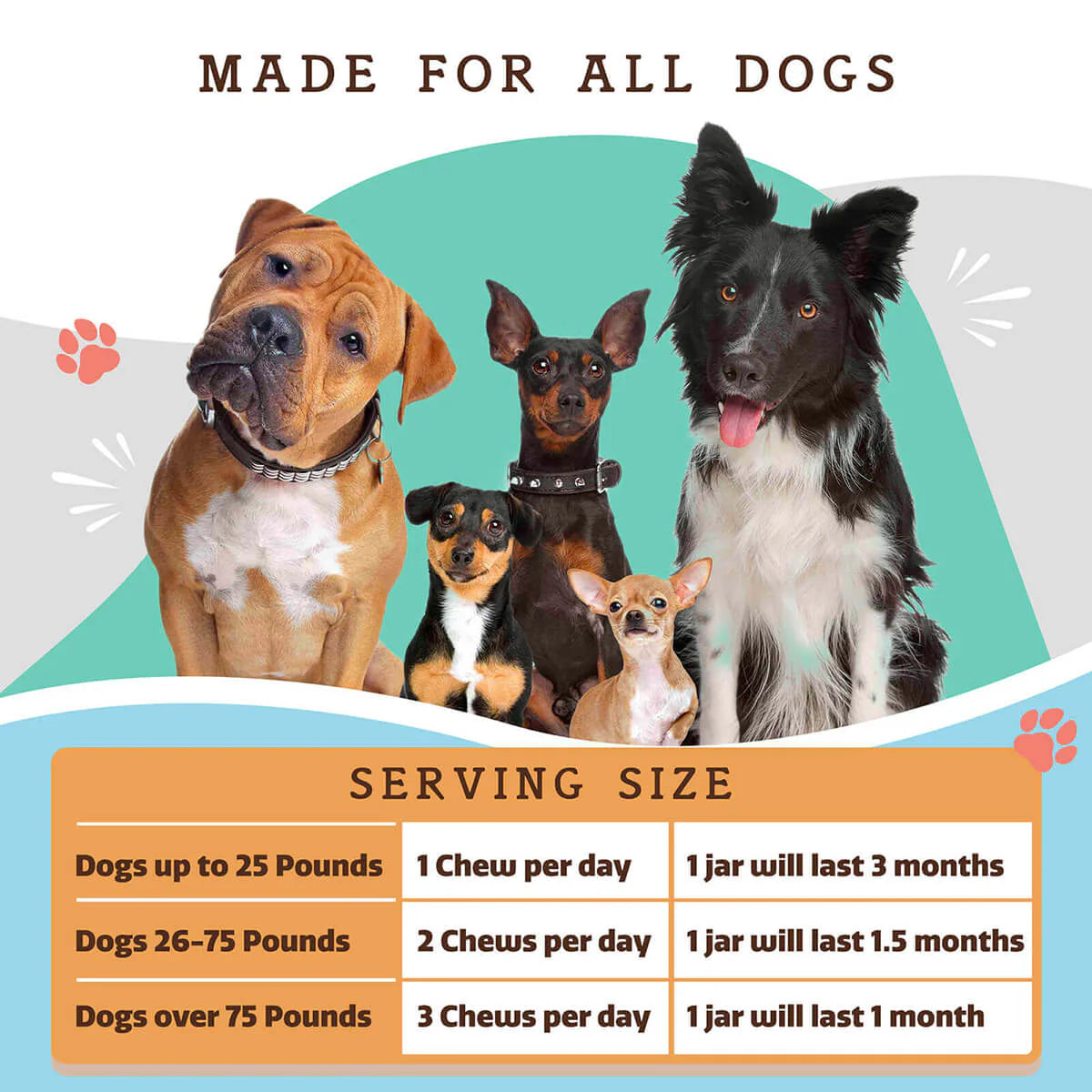 Multivitamin Supplement for Dogs (90 chews)