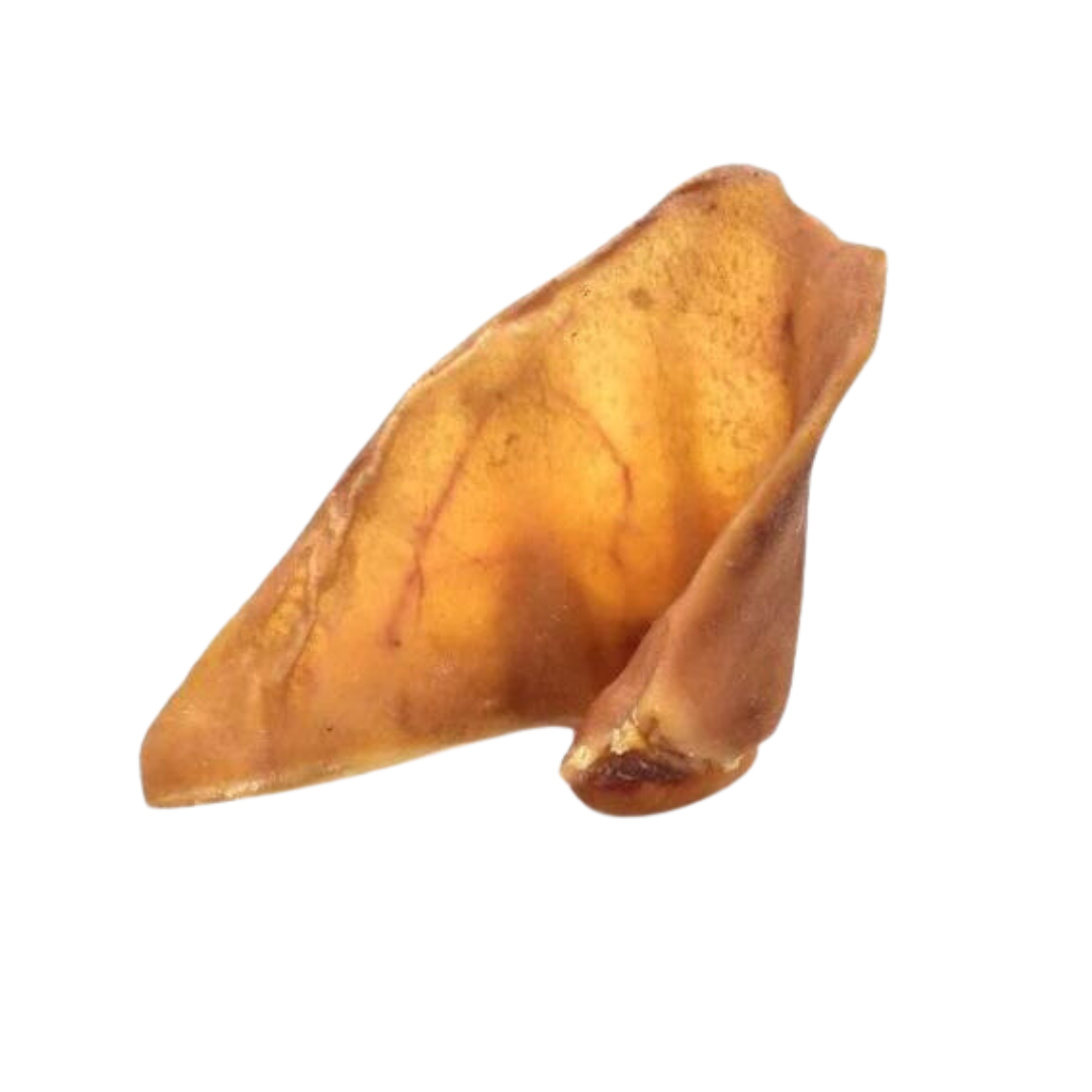 Pig Ear