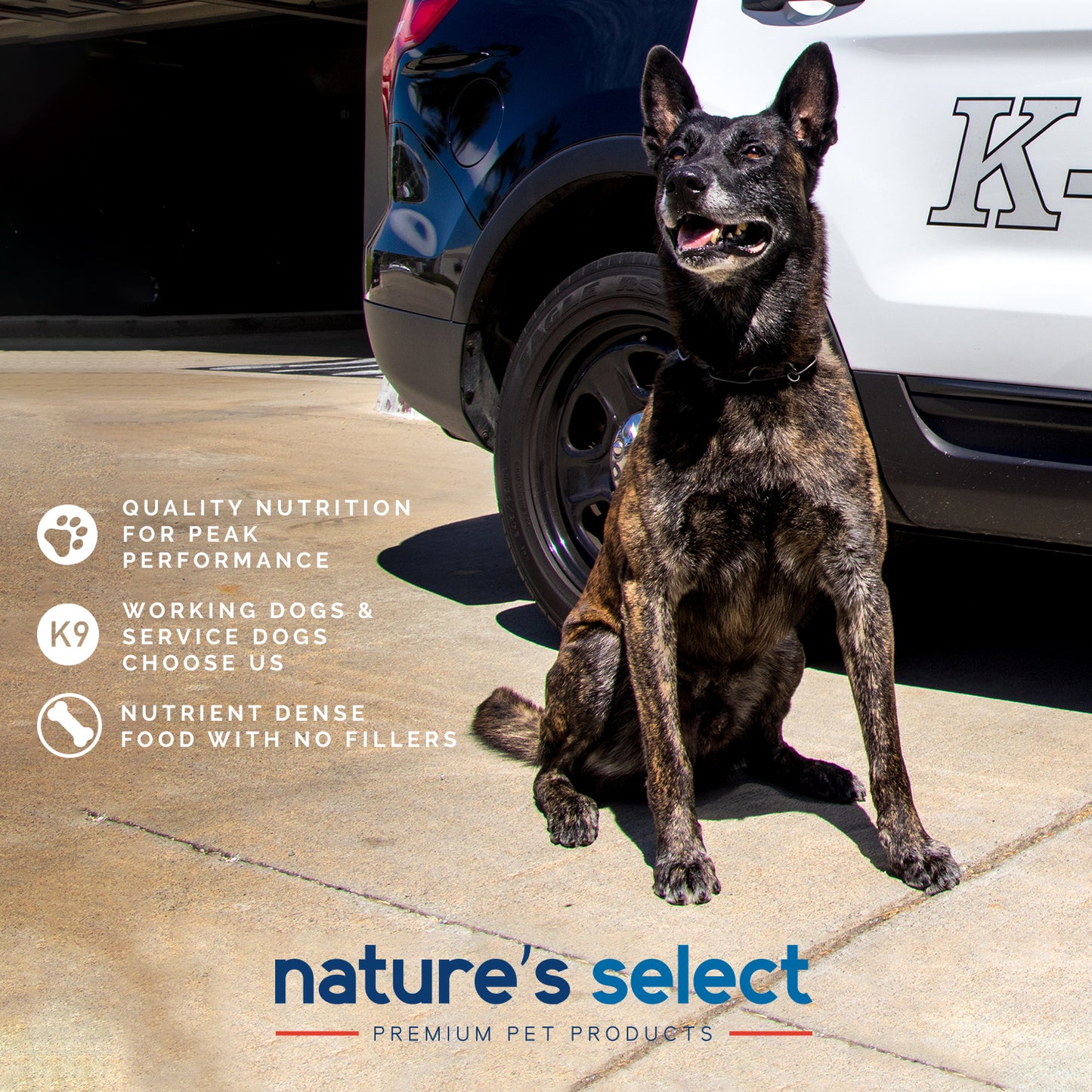 Nature's Select Multi Protein Recipe - Beef, Chicken & Pork, Dry Dog Food for All Life Stages