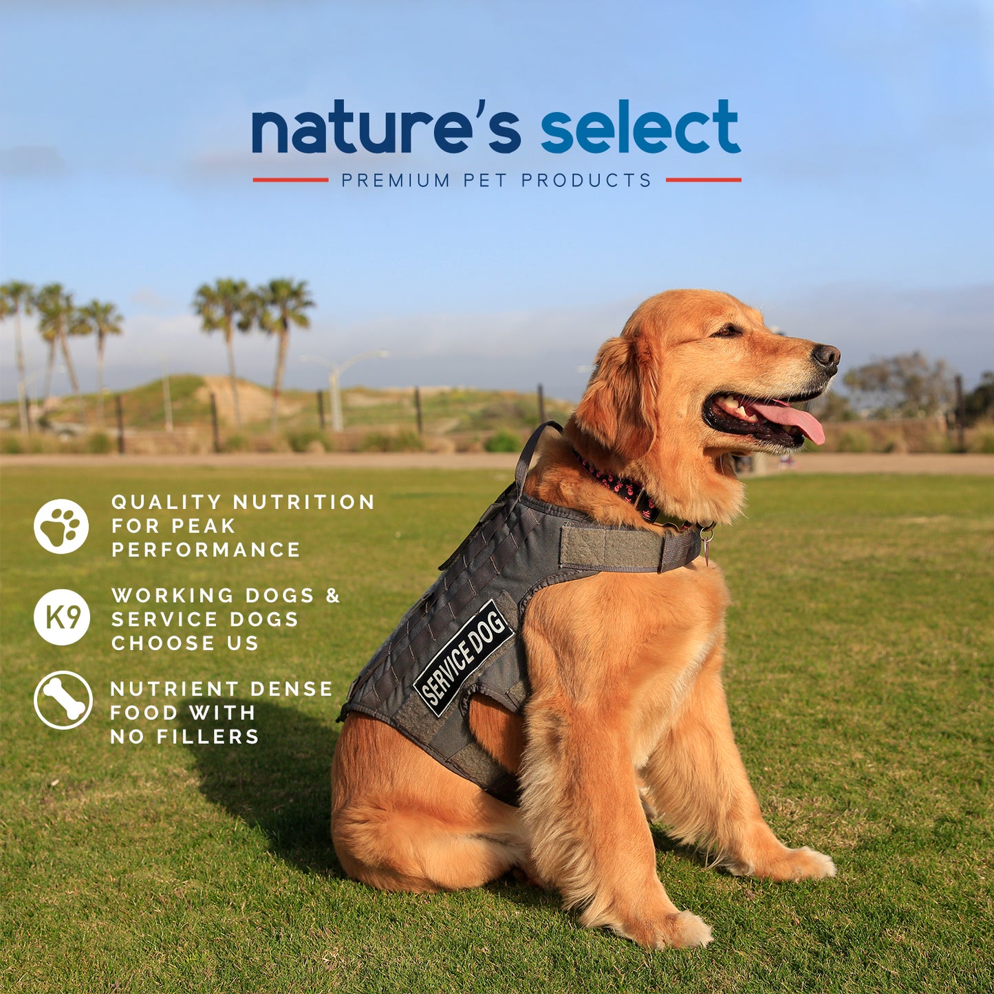 Nature's Select Classic Recipe - Chicken & Rice, Dry Dog Food for All Life Stages
