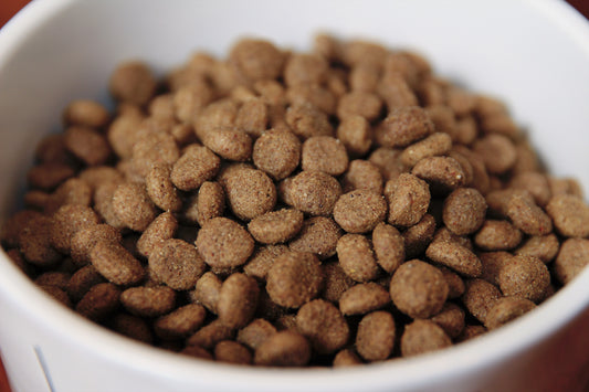 A New Era for Pet Food