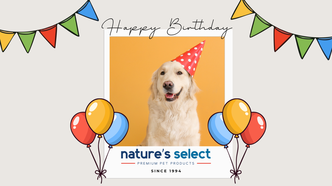 Happy Birthday to Us