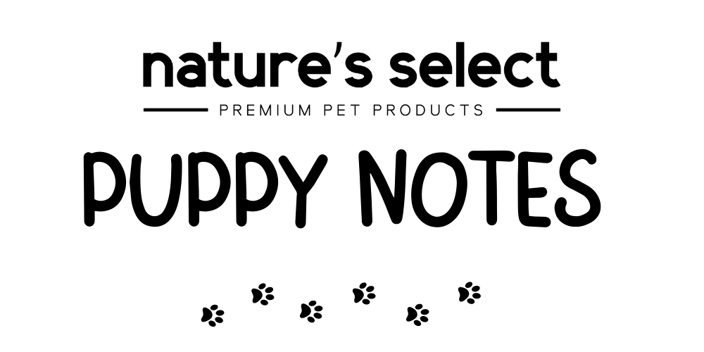 Puppy Notes for January – Nature's Select Pet Food