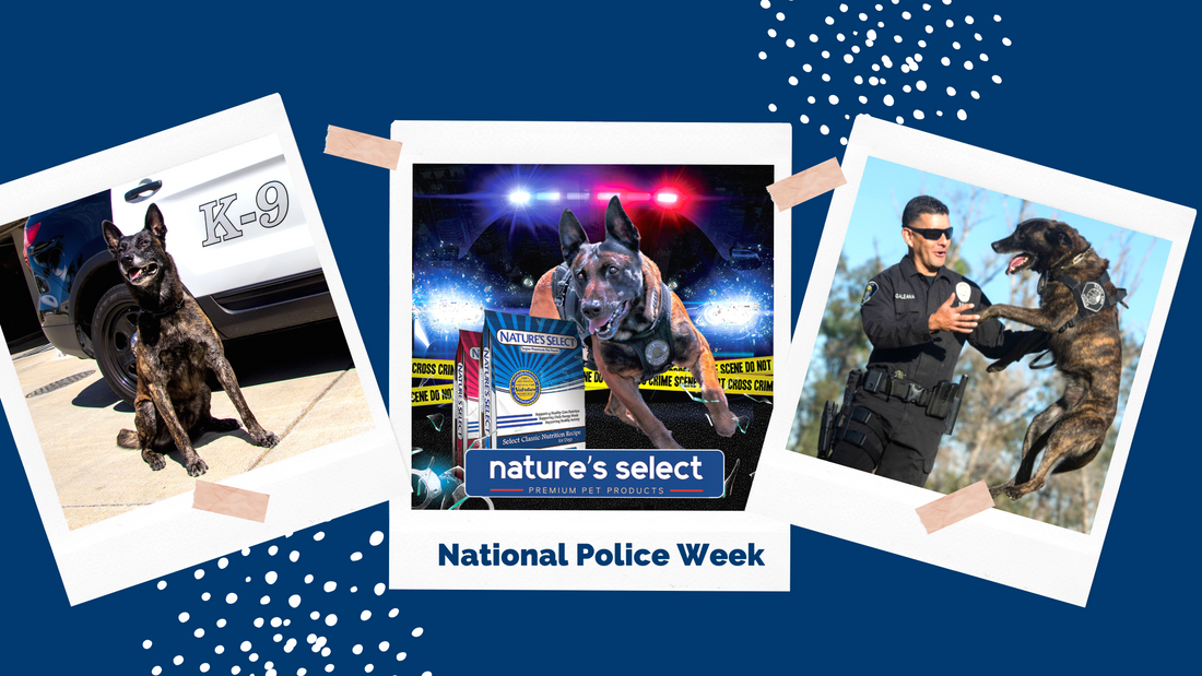 National Police Week 2021
