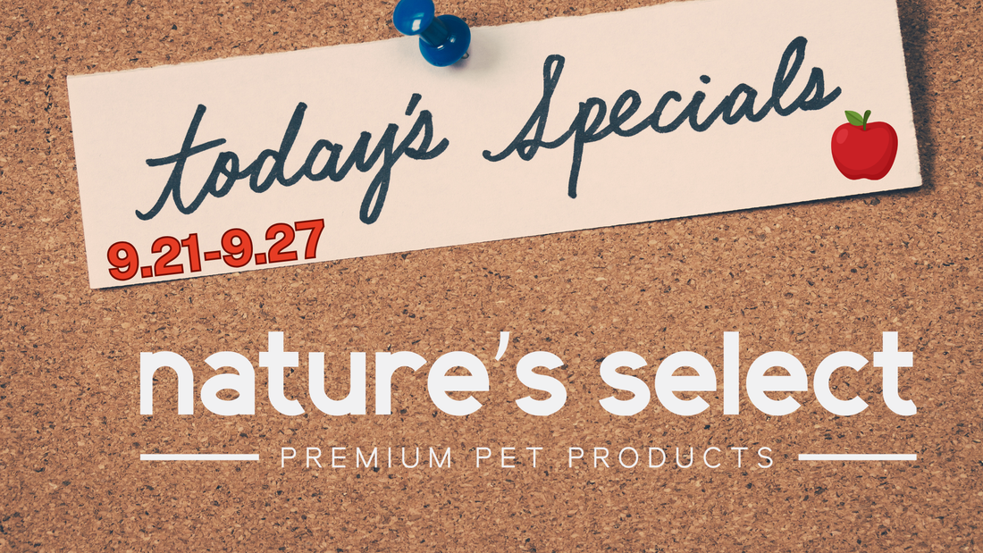 New Weekly Specials