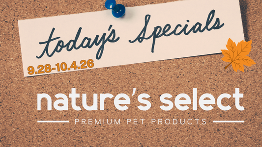 BOGO 50% off