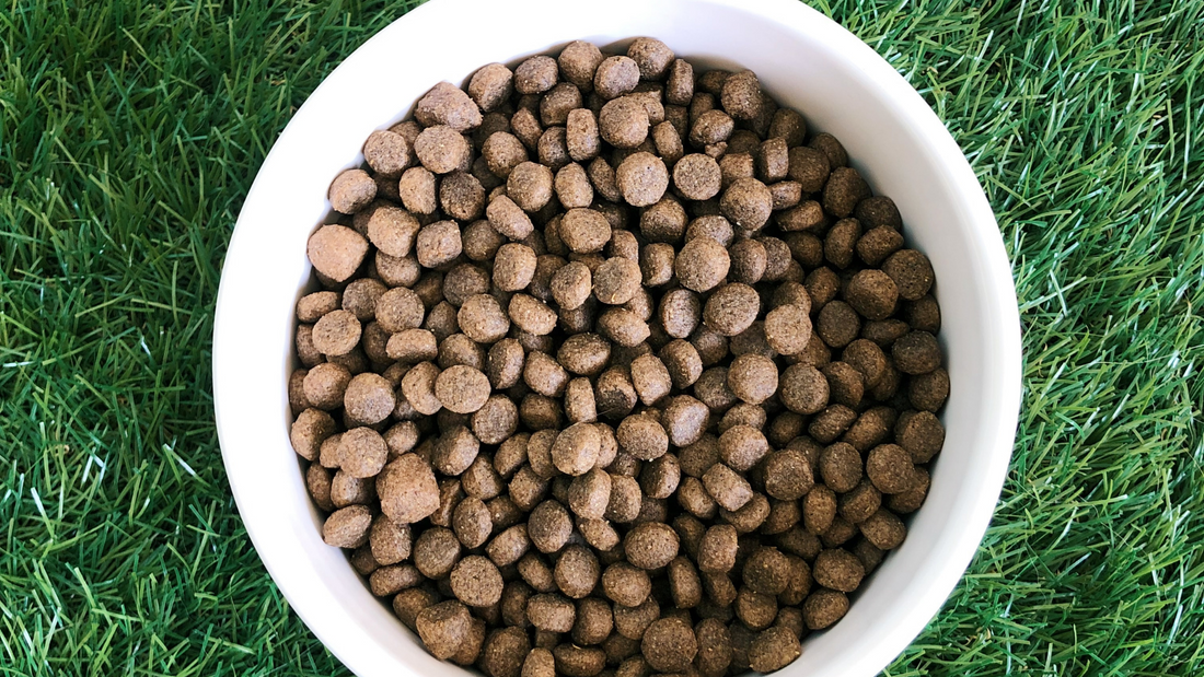 How to Store Pet Food