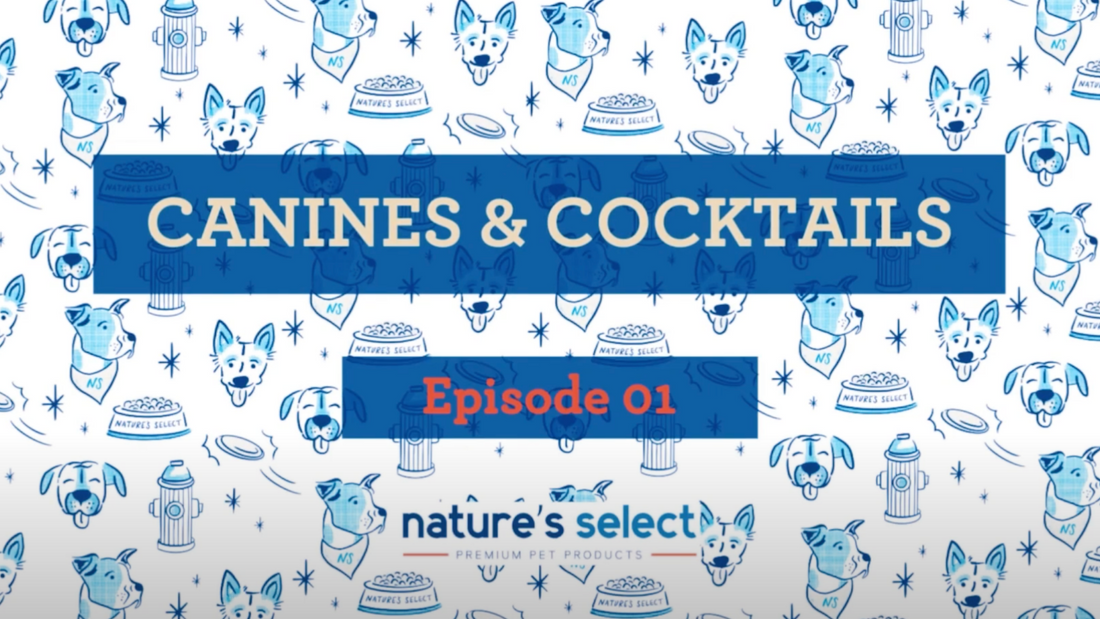 Introducing Canines & Cocktails