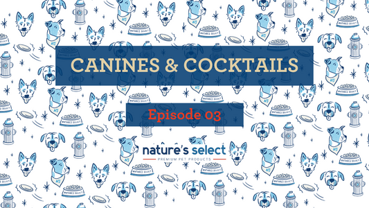 Canines & Cocktails Episode 03 is LIVE!