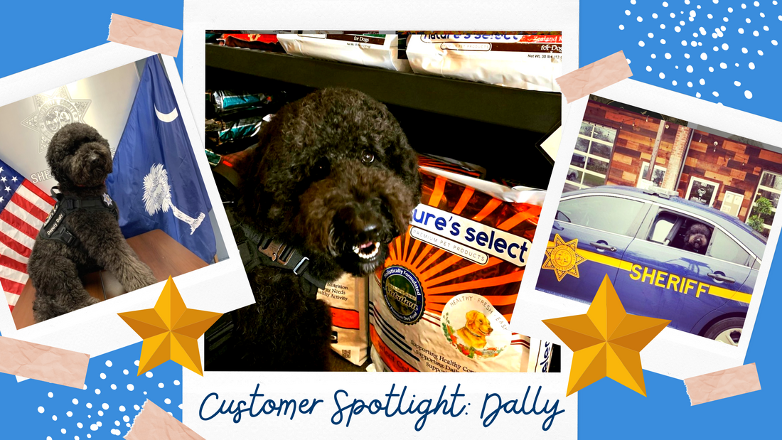 Customer Spotlight: Deputy Dally