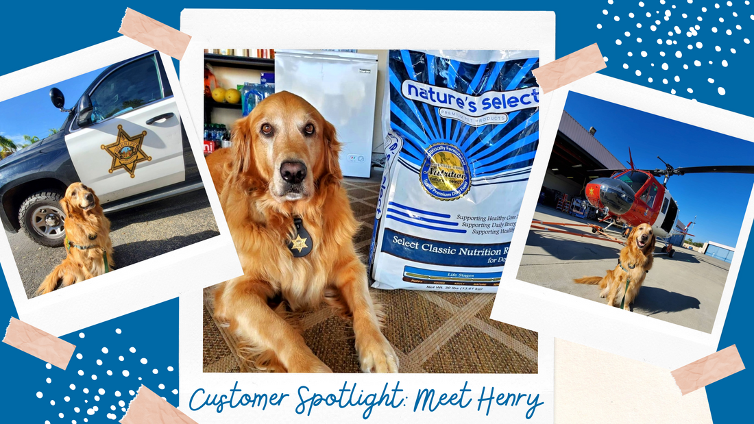 Customer Spotlight: Henry
